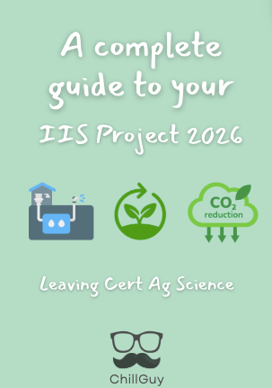 A teacher's guide to getting a H1 in the IIS.