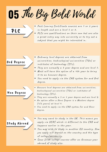 CAO Choices and Career Progression
